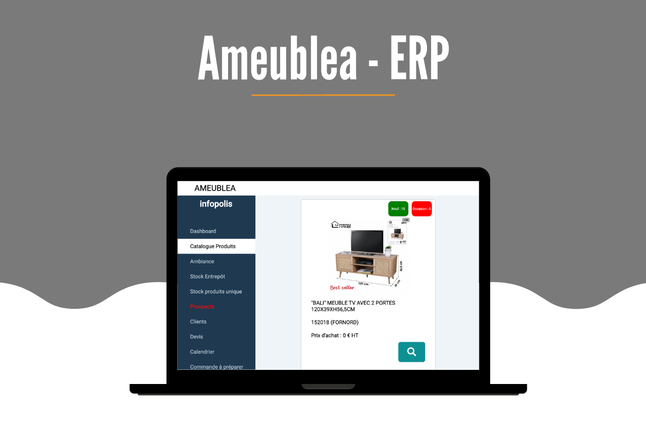 https://www.infopolis.fr/wp-content/uploads/2022/08/Ameublea-ERP-1280x870.png